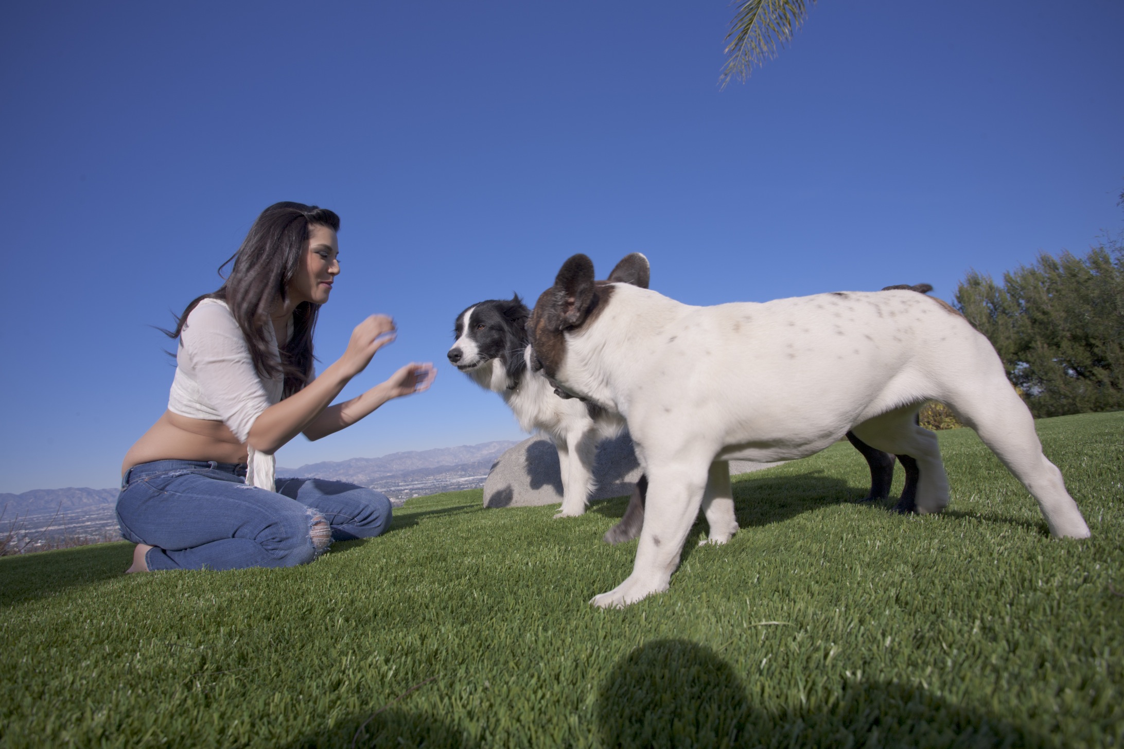 Sunny Leone In Tight Jeans Playing With Her Puppies